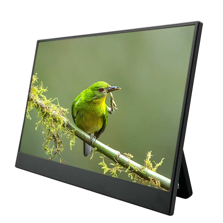 ノートパソコン/ノートブック用15.6インチポータブルモニタ - Portable Monitor 15.6 Inch 1080P Type C のレビューと価格