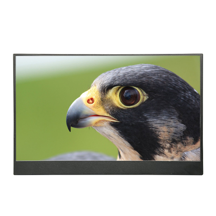 ノートパソコン/ノートブック用15.6インチポータブルモニタ - Portable Monitor 15.6 Inch 1080P Type C のレビューと価格